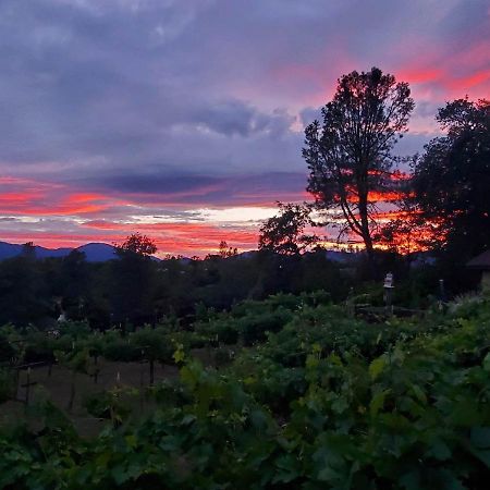 The God Spa Redding Bagian luar foto