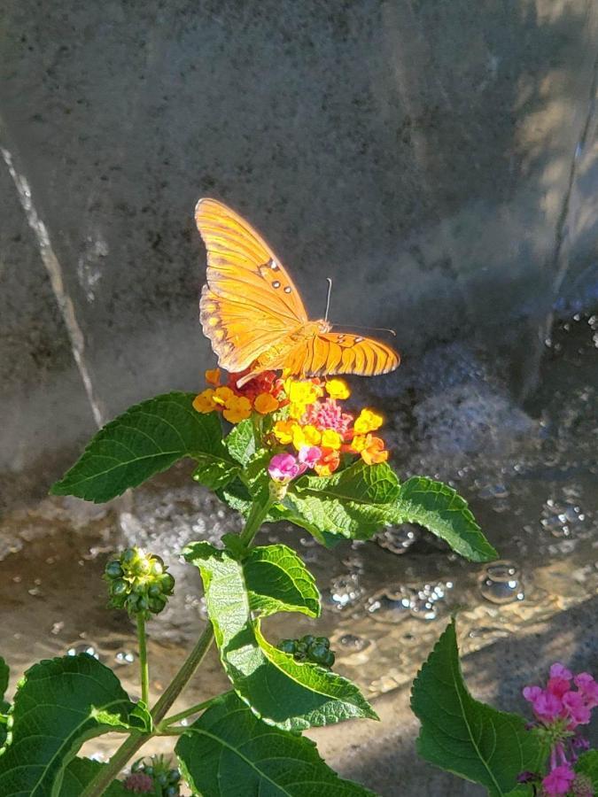 The God Spa Redding Bagian luar foto